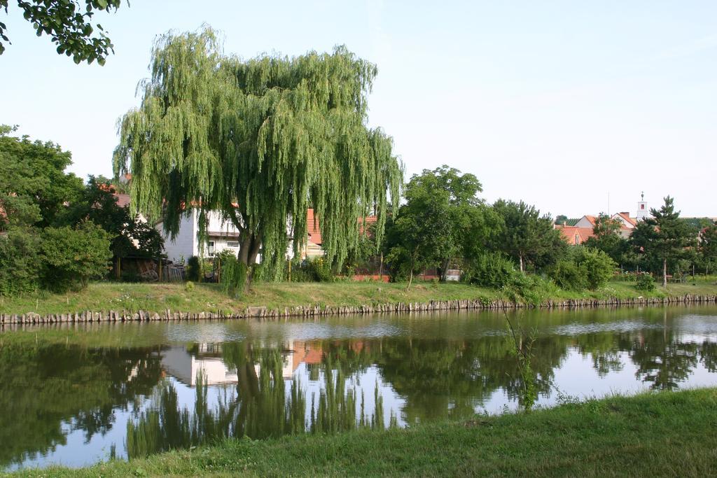 Penzion U Sklepu Hovorany Exterior photo