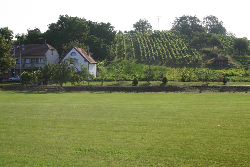 Penzion U Sklepu Hovorany Exterior photo